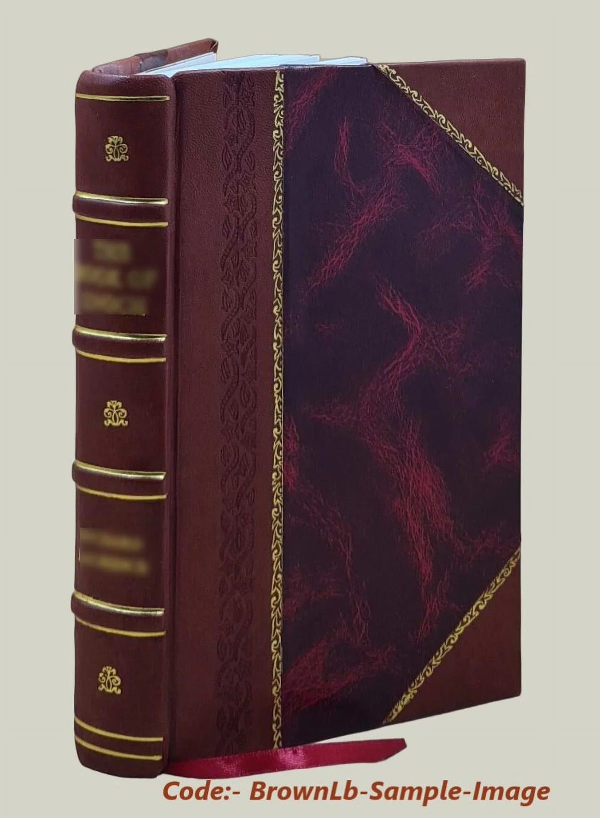 Volume v.2 1829 [Leather Bound]. Ancient songs and ballads, from the reign of King Henry the Second to the Revolution, collected by Joseph Ritson